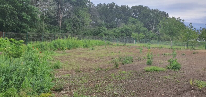 Snagov - Tancabesti, Teren de vanzare langa padure