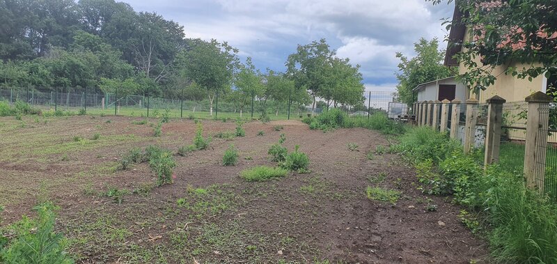 Snagov - Tancabesti, Teren de vanzare langa padure