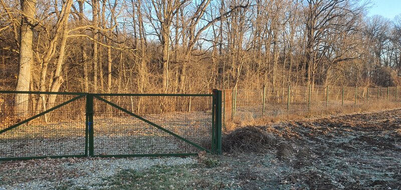 Snagov- Tancabesti, Teren de vanzare langa padure